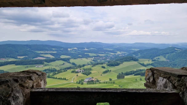 Header Image