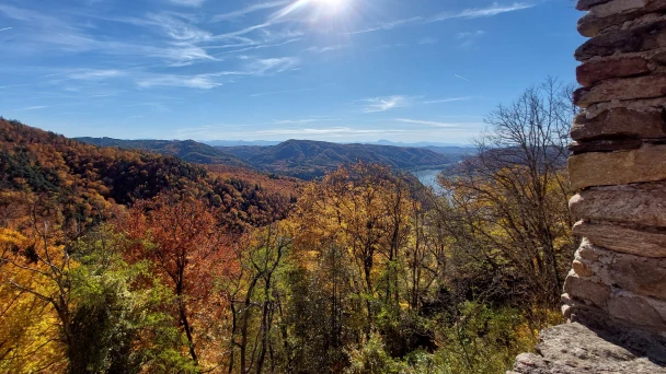 Blick von der Ruine über den herbstlichen Wald auf die Donau.