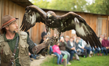 Ein Mann in olivfarbenen Gewand, einem braunen Hut und einem Schutzhandschuh hält einen Falken auf der Hand. Im Hintergrund sitzen Zuschauer.