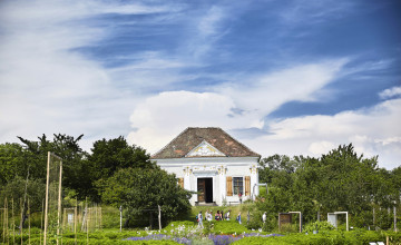Blick auf einen Garten mit Beeten und Bäumen und im Hintergrund ist ein weißes Haus mit Fensterläden zu sehen.