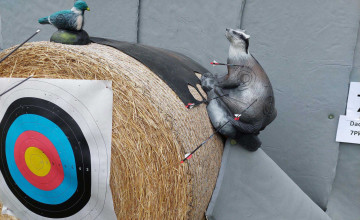 Blick auf einen Heuballen, auf dem eine Zielscheibe und zwei Tierfiguren angebracht sind.