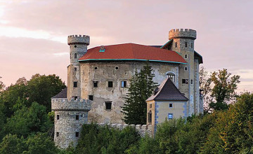 Blick auf eine Burg aus Stein mit einem roten Dach und vier Türmen, die in Mitten von einem Wald steht.