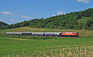 Erlebniszug Leiser Berge zwischen Feldern und einem Wald im Hintergrund.