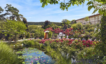 Blick auf einen Seerosenteich umgeben von Sträuchern und einem Blütenmeer.