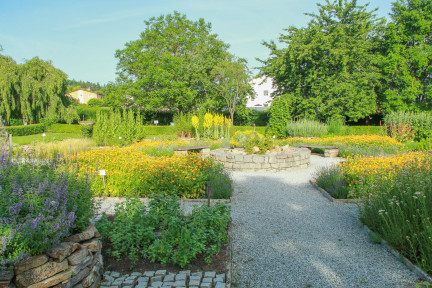Blick auf einen grünen Garten mit Schotterwegen.