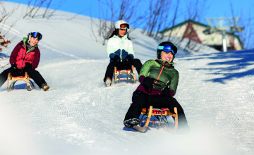Bild von drei Personen die Rodeln.
