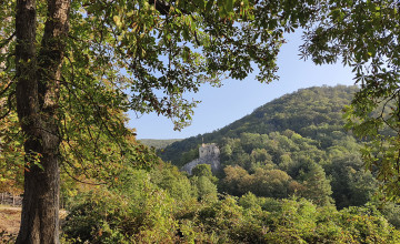 Blick auf eine hügelige Waldlandschaft.