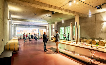 Blick auf einen modernen Raum der Sandgrube 13 mit einem Tisch, auf den mehrere Weingläser für eine Weinverkostung vorbereitet sind; zwei Männer bei der Weinverkostung