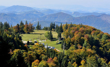 Ausblick auf eine hügelige bewaldete Berglandschaft. Die Bäume sind bunt gefärbt und in der Mitte ist eine Wiese mit einer Schotterstraße zu erkennen.