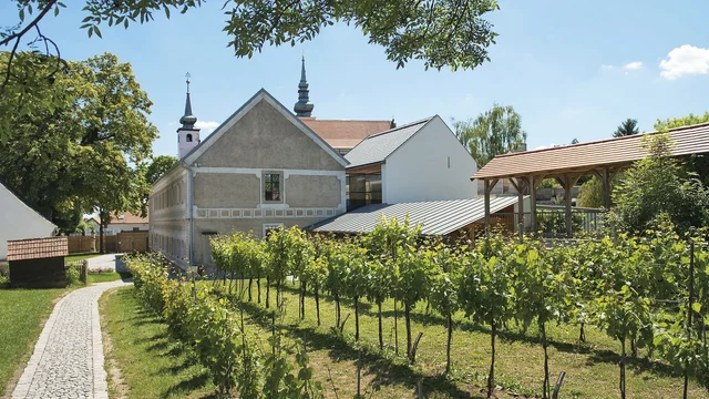 Vino Versum WEIN+TRAUBEN Welt