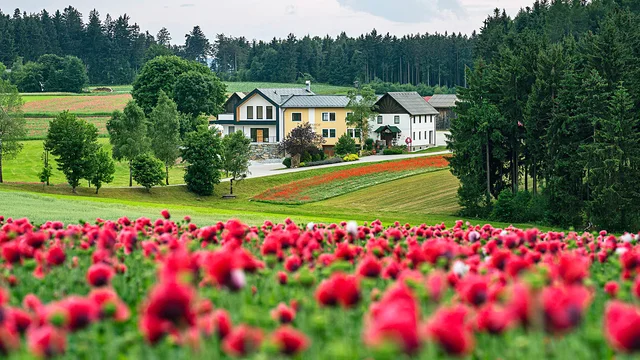 Waldviertler Mohnhof