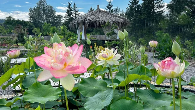 Oberleitner Gartenkultur - Garten der Vielfalt