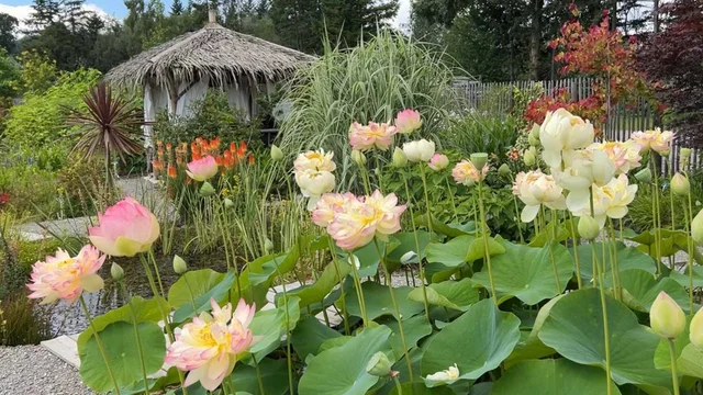 Oberleitner Gartenkultur - Garten der Vielfalt
