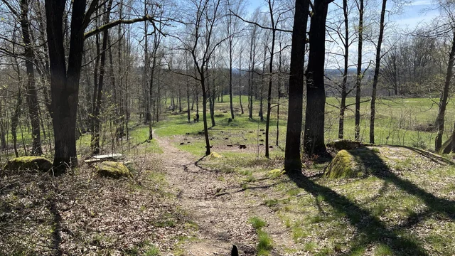 Naturpark Blockheide