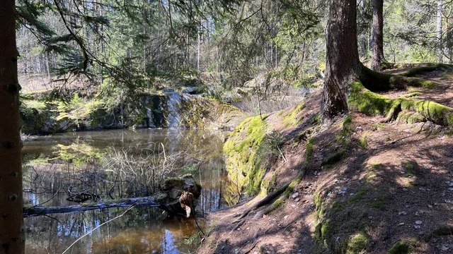 Naturpark Blockheide
