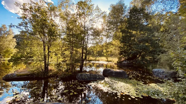 Naturpark Blockheide
