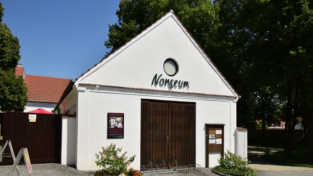 Nonseum