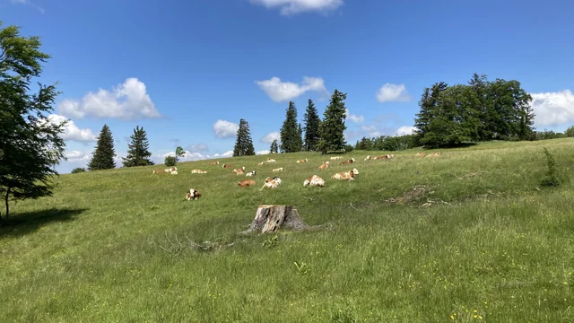 Sessellift Lilienfeld Muckenkogel