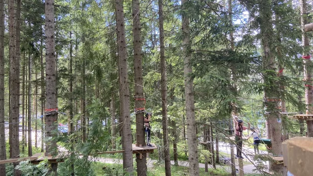 RUDYSHCOOL - Waldseilgarten am Erlaufsee