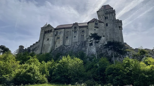 Blick über die grüne Wiese auf die Burg Liechtenstein.