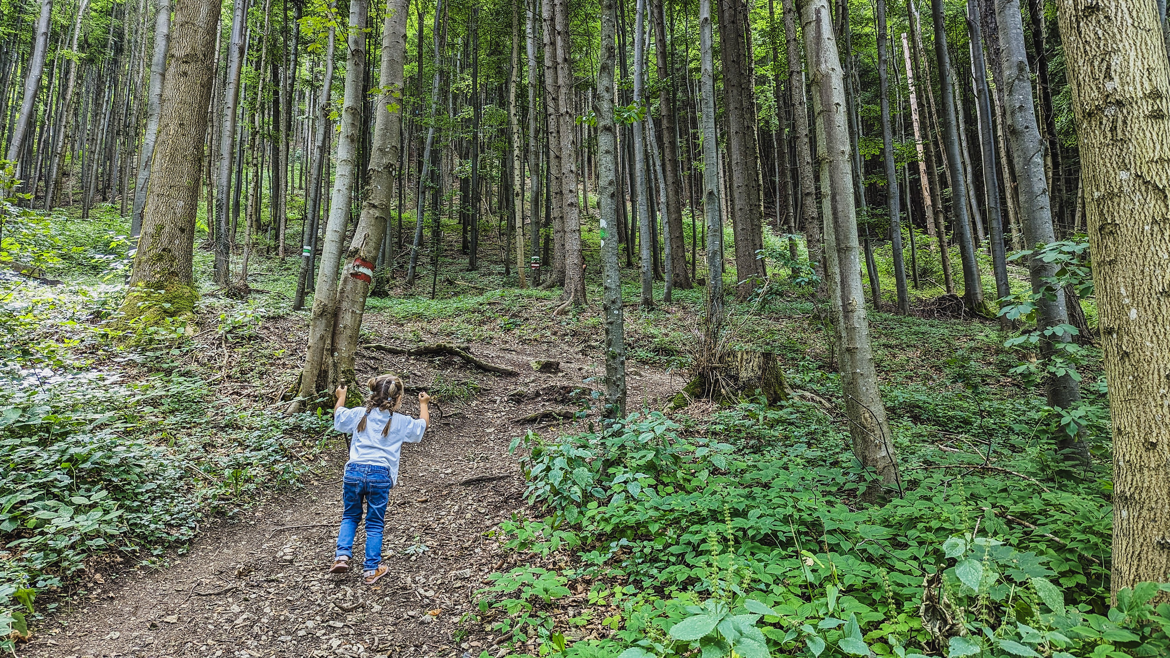 Kind im Wald - Wanderweg zur Araburg