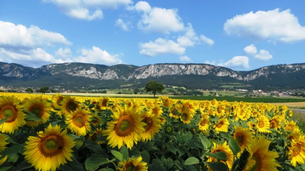 Hohe Wand Naturpark