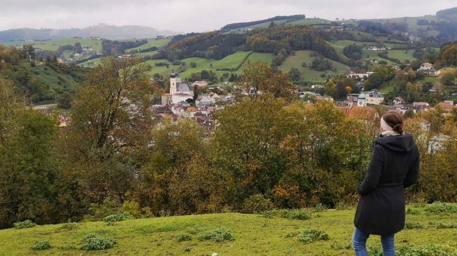 Die Aussicht auf Waidhofen mit dem Sonntagberg im Hintergrund, © Winter