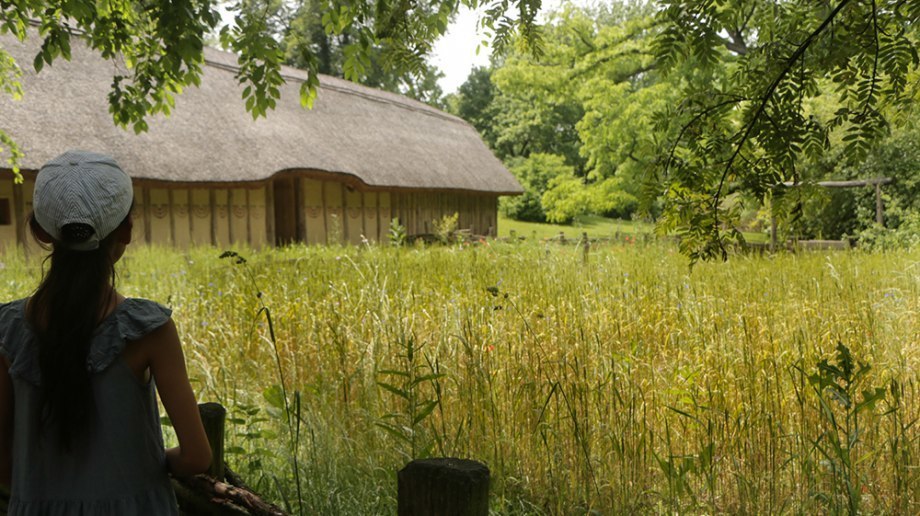 Ein begehbares Museum, © titantina