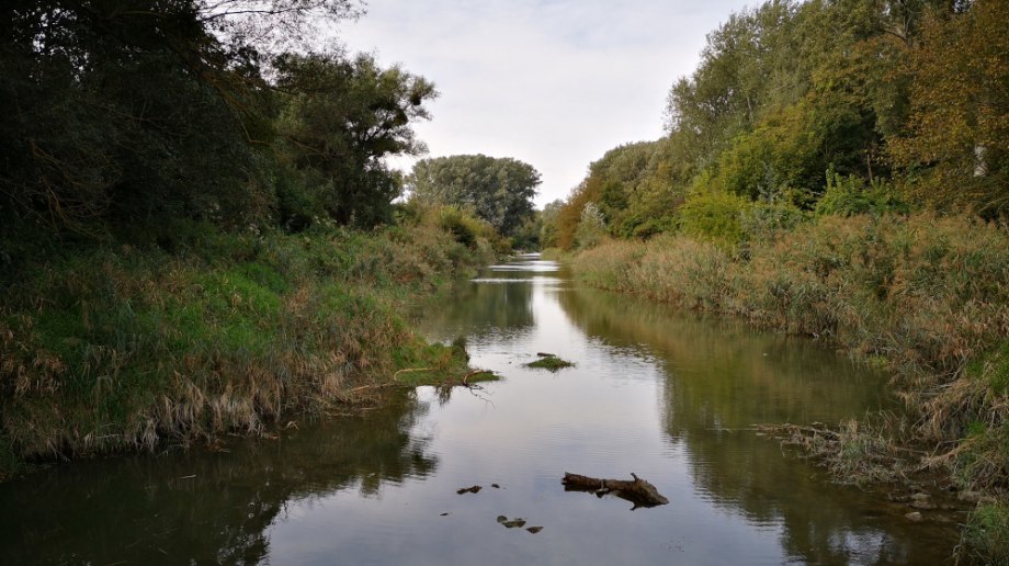 Blick in den leeren Fadenbach, © Malinowsky