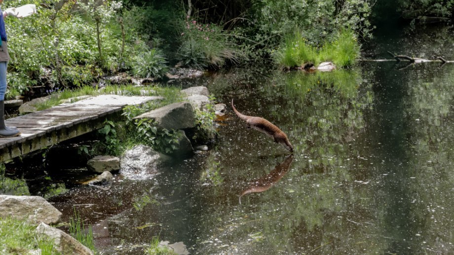 Erlebnisse im UnterWasserReich, © titantina