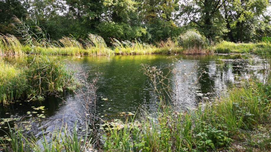 Blick in den leeren Fadenbach, © Malinowsky