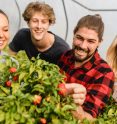 Fireland Foods - Chili-Erlebniswelt