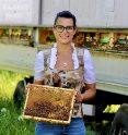 Bio-Imkerei Stögerer