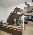 Krahuletz-Museum
