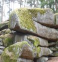 Naturpark Blockheide