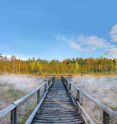 Naturpark Heidenreichsteiner Moor