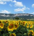 Naturpark Hohe Wand