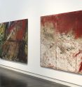 nitsch museum
