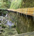 Nothklamm