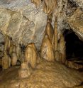 Ötscher Tropfsteinhöhle