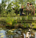 schlossORTH Nationalpark-Zentrum