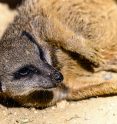 Tierpark Stadt Haag