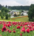 Waldviertler Mohnhof