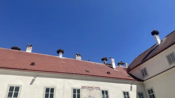 Störche brüten auf den Schornsteinen von Schloss Marchegg.