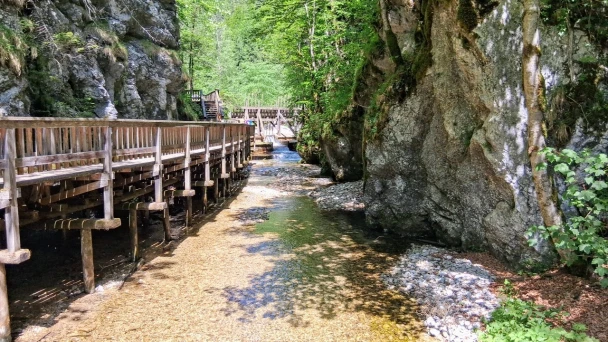 Blick über das glasklare Wasser in der Erlebniswelt Mendlingtal.